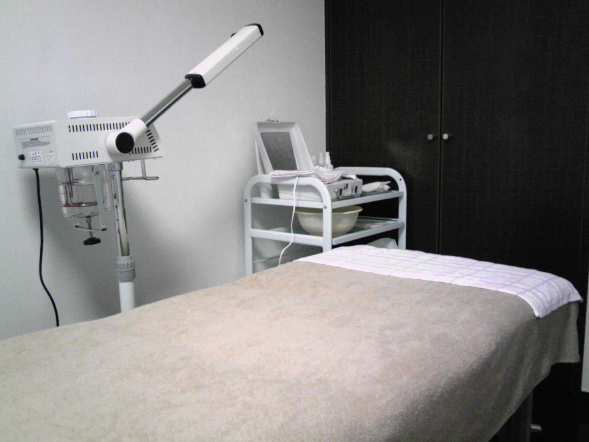 �X���̕��i